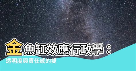 金魚缸效應行政學